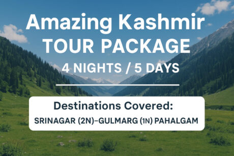 Amazing Kashmir Tour Package – Discover Paradise