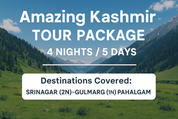 Amazing kashmir tour packages
